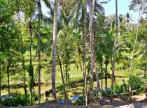 Villa Umah Jae, View to Rice Fields